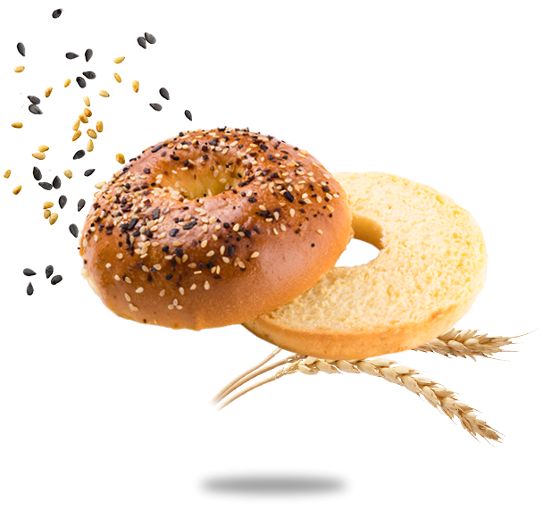 Brioche Bagel everything (1)