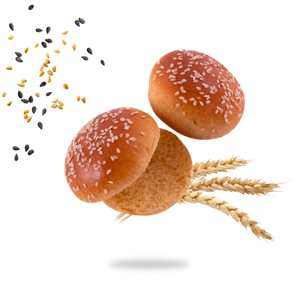 MINIS_BRIOCH_BURGERS_SESAME